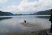 Hunde dürfen in den Schliersee...sie lieben es - im Hintergrund die Insel Wörth - im Sommer einladender Biergarten...